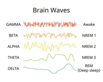Brainwaves